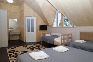 a attic room with two beds and a tv at Lastivka Guest House in Yablunytsya