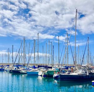 a bunch of boats docked in a harbor at Luxury Boat KARAMBA I in San Miguel de Abona
