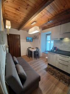 uma sala de estar com um sofá e uma cozinha com uma mesa em Appartamento gaiulin em Pinzolo