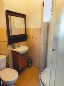 a bathroom with a toilet and a sink and a shower at Apartamenty nad Wisłą Renesans in Wisła
