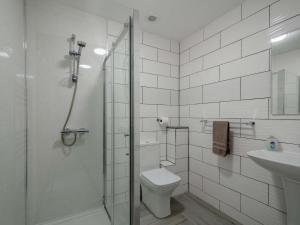 a bathroom with a shower and a toilet and a sink at Westertonhill Lodges in Balloch