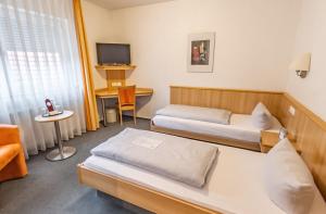 TV a/nebo společenská místnost v ubytování Hotel-Gasthof zum Ritter