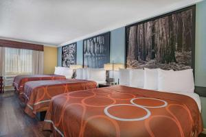 Habitación de hotel con 2 camas con sábanas de color naranja en Super 8 by Wyndham Ukiah, en Ukiah