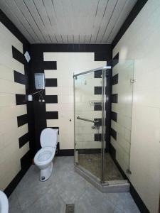 uma casa de banho com um WC e uma cabina de duche em vidro. em Apartment on Khimshiashvili 1 em Batumi