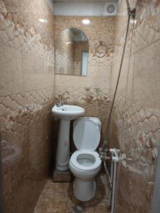 un baño con inodoro y lavabo en Sam's Place, Tours with Sam, en Ereván