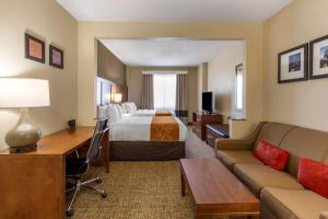 a large hotel room with a bed and a couch at Comfort Suites Raleigh Walnut Creek in Raleigh