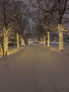 a snow covered street with trees decorated with lights at North Apartment in Tromsø