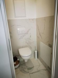 a bathroom with a white toilet and marble walls at Jaccuzzi privatif dans studio tout confort in Lachapelle-sous-Aubenas