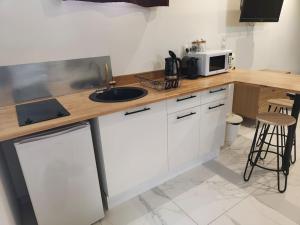 a kitchen with a counter with a sink and a microwave at Jaccuzzi privatif dans studio tout confort in Lachapelle-sous-Aubenas