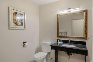 Koupelna v ubytování Comfort Inn & Suites Mt Laurel-Philadelphia