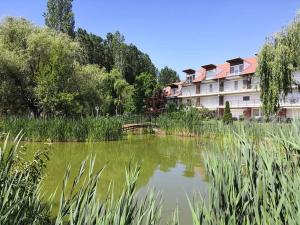 a pond in front of a building with a bridge at Csiribá Apartman in Cserkeszőlő