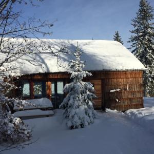 een houten hut met een met sneeuw bedekt dak bij Domaine du Bugnon in Lac des Rouges Truites