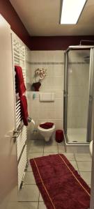 een badkamer met een douche, een toilet en een wastafel bij OST29 Ferienwohnung Komoran in Niendorf