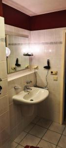 een badkamer met een wastafel en een spiegel bij OST29 Ferienwohnung Komoran in Niendorf