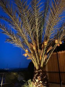 Fotografie z fotogalerie ubytování Casa Olivar B&B v destinaci Tocon