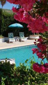 two chairs and a swimming pool with pink flowers at Casa Olivar B&B in Tocon