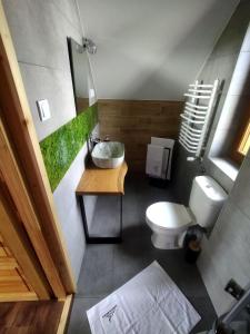 a bathroom with a white toilet and a sink at Siedlisko na Jastrząbce in Lipowa