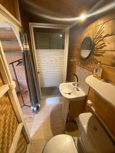 Baño pequeño con aseo y lavamanos en Le chalet du Jardin caché, en Marmande