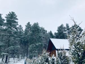 Palma de Masuria Ekskluzywny Dom na wyłączność v zime