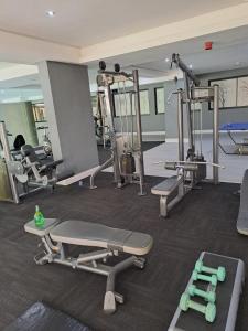 Γυμναστήριο ή/και όργανα γυμναστικής στο Urban Park Private Apartment +26 φωτογραφίες