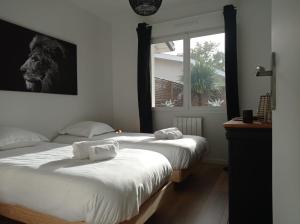 2 camas en una habitación con una foto del león en la pared en Villa Nina- Maison cocon cosy en La Teste-de-Buch