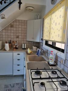 Kuchyň nebo kuchyňský kout v ubytování MEDITERRANEAN VALLEY