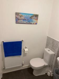a bathroom with a white toilet and a blue towel at Modern 2 bed nestled in the Abergavenny hills in Abergavenny