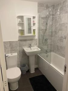 a bathroom with a toilet and a sink and a shower at Modern 2 bed nestled in the Abergavenny hills in Abergavenny
