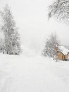 Brvnara Pahuljica Zlatar durante o inverno