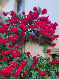 un montón de rosas rojas al lado de un edificio en Baroque villa near Bled - Resort Vidmar, en Lesce