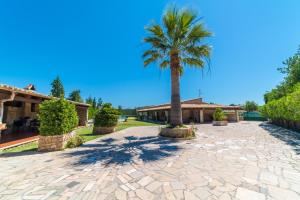 Vonkajšia záhrada v ubytovaní Ideal Property Mallorca - Moli