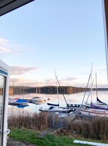 eine Gruppe von Booten liegt in einem Yachthafen vor Anker in der Unterkunft Chalet am See in Wackersdorf