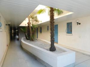 einen Flur mit Palmen in einem Gebäude in der Unterkunft Studio résidence Golfe Marine avec piscine et parking in Vallauris