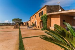 a building with a palm tree next to a dirt road at Ideal Property Mallorca - Pleta 8 PAX in Manacor