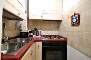 una piccola cucina con lavello e fornello di Wine Apartments Florence Dolcetto a Firenze