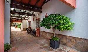 Ogród w obiekcie Modern Apartment - 2 Bedrooms, Beachside - Puerto Banús