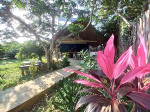 a house with a pink plant in front of it at Watamu Beach Cottages B&B in Watamu