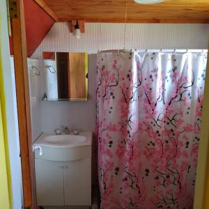 Ένα μπάνιο στο Departamentos Peumayen Cabaña