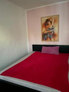 - une chambre avec un grand lit et une couverture rouge dans l'établissement Cocos Tiberiu, à Mogendorf