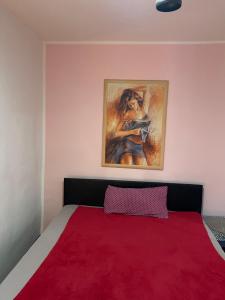 a bedroom with a red bed with a painting on the wall at Cocos Tiberiu in Mogendorf