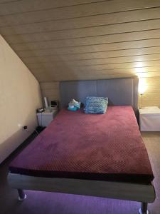 Un pat sau paturi într-o cameră la Cocos Tiberiu