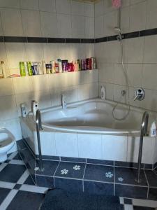 a bathroom with a tub and a toilet at Cocos Tiberiu in Mogendorf