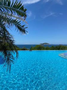 uma piscina azul com uma palmeira no primeiro plano em Apto Pé na Areia Condomínio Oceanside Camboinhas em Niterói