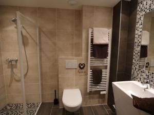 a bathroom with a shower and a toilet and a sink at Appartement Valloire, 4 pièces, 8 personnes - FR-1-263-217 in Valloire
