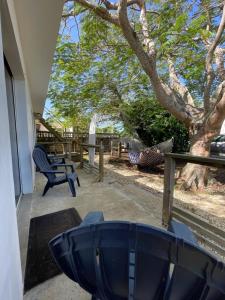 ein blaues Waschbecken auf einer Terrasse mit einem Baum in der Unterkunft Las Olas Beach apartments in Arecibo
