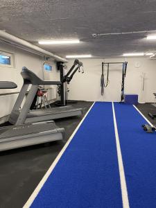 a gym with a treadmill and a blue carpet at Hotell Hanöhus Hällevik in Sölvesborg