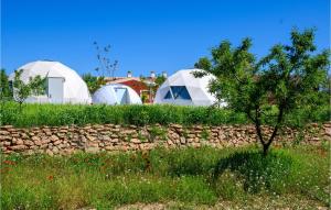 two domes in a field with grass and flowers at Nice Apartment In Caravaca De La Cruz With House A Mountain View in Caravaca de la Cruz