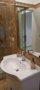 bagno con lavandino bianco e doccia di HANDY&RIVIENI2 a Roma