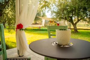 A garden outside Anastasios Olive Garden Apartments