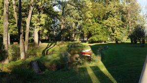 奧特穆胡夫的住宿－Piotrowice Nyskie Palace，草地上带雨伞的公园